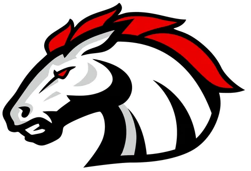 Aschaffenburg Stallions Logo